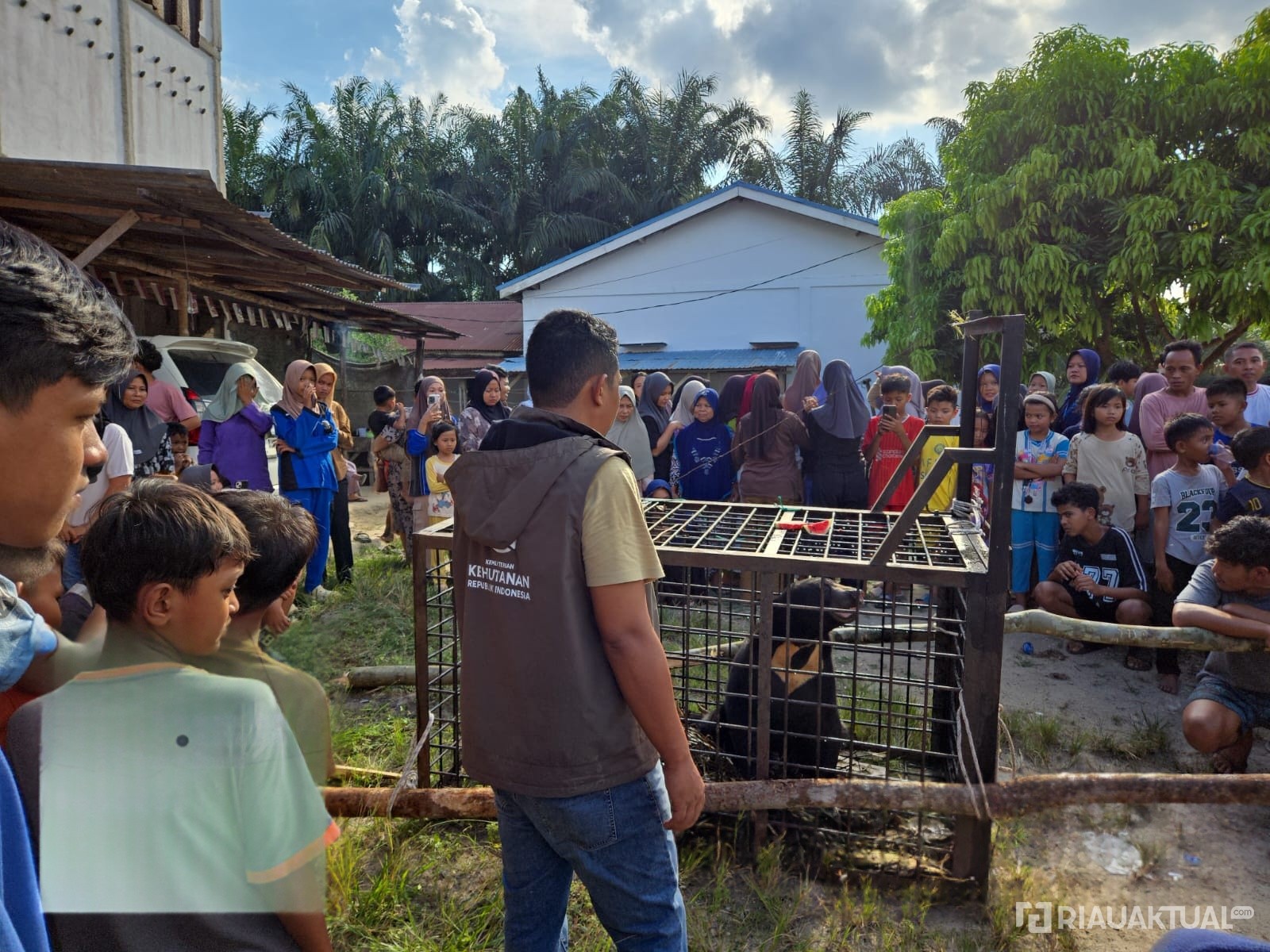 Beruang Madu yang Resahkan Warga Kerumutan Berhasil Dievakuasi BBKSDA Riau