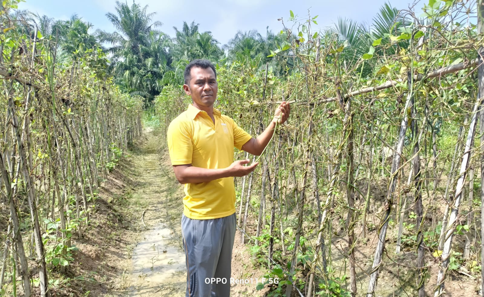 Jalankan Program Polisi Cinta Petani, Bhabinkamtibmas Bangko Pusako Sambangi Kebun Warga