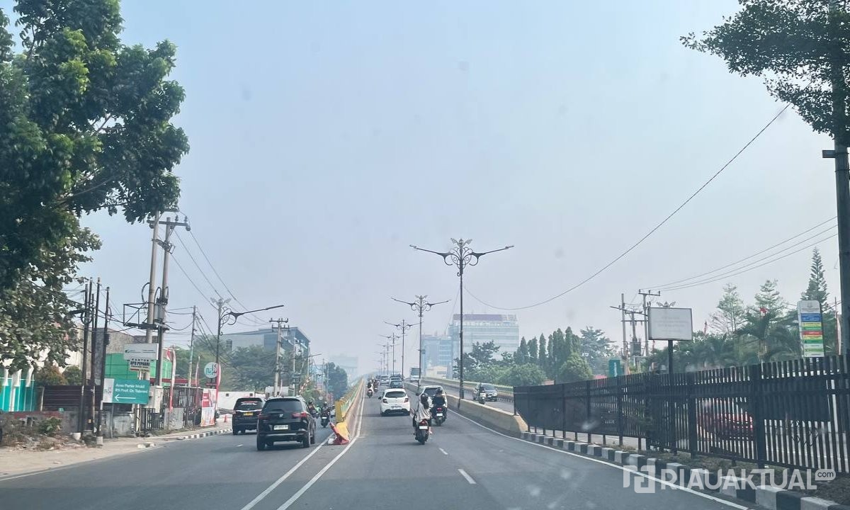 29 Titik Panas dan Asap Kiriman Lintas Wilayah Sebabkan Udara Riau Memburuk