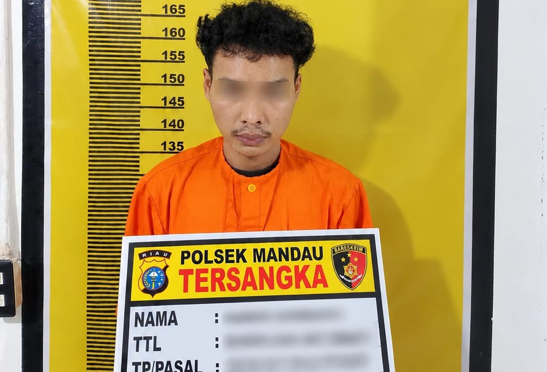 Diduga Setubuhi Anak di Bawah Umur Empat Kali, Pemuda di Bengkalis Diciduk Polisi