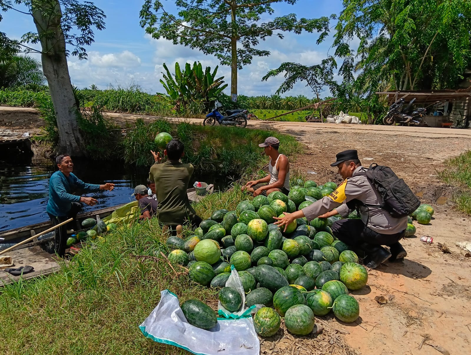 Bhabinkamtibmas Rohil Sambangi Petani Semangka, Dorong Swasembada Pangan