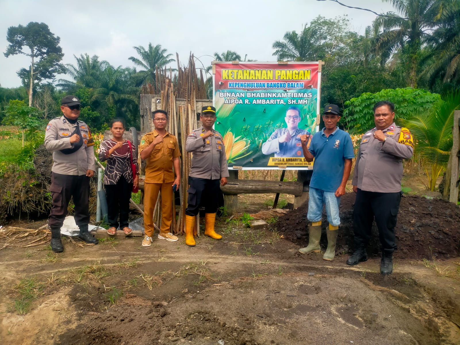 Polisi Siapkan Panen Raya Jagung 4 Ton di Rohil, Dukung Swasembada Pangan