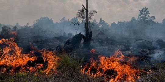 BPBD Riau Minta Masyarakat tak Terbangkan Drone saat Operasi Waterbombing