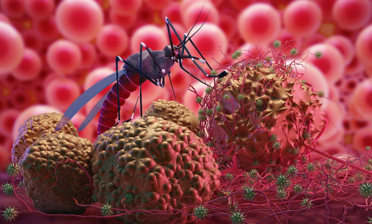Malaria Ancam Warga Sinaboi, Tokoh Masyarakat Minta Solusi Nyata dari Pemda Rohil