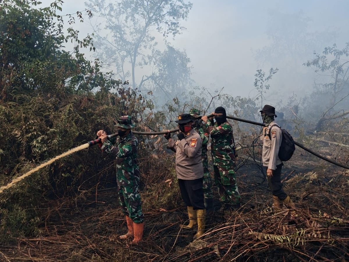 Karhutla Kembali Muncul di Pulau Rupat, Tim Gabungan Berjibaku Padamkan Api