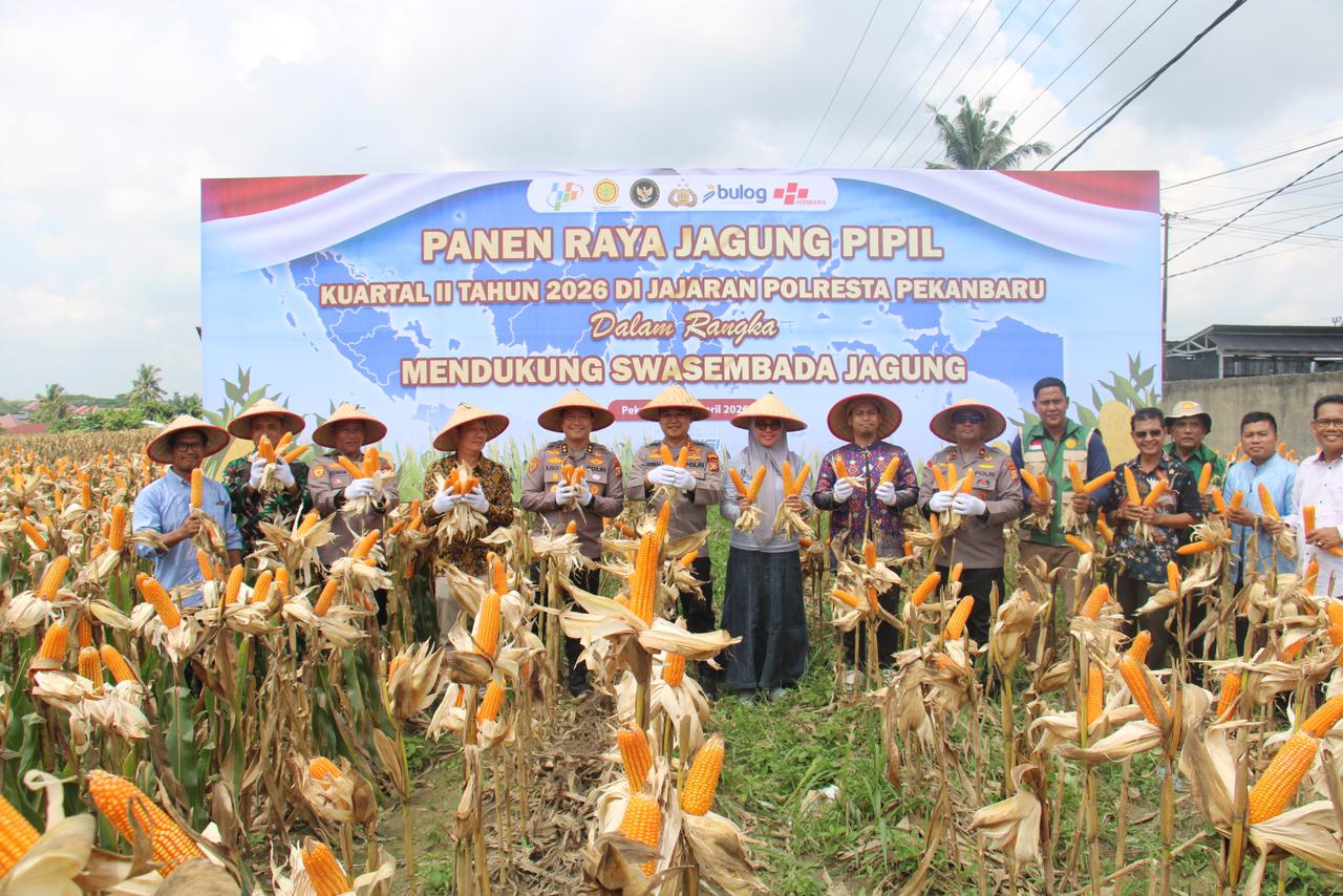 Panen Raya Jagung 1,8 Hektare di Pekanbaru, Polisi Ikut Dorong Swasembada Pangan