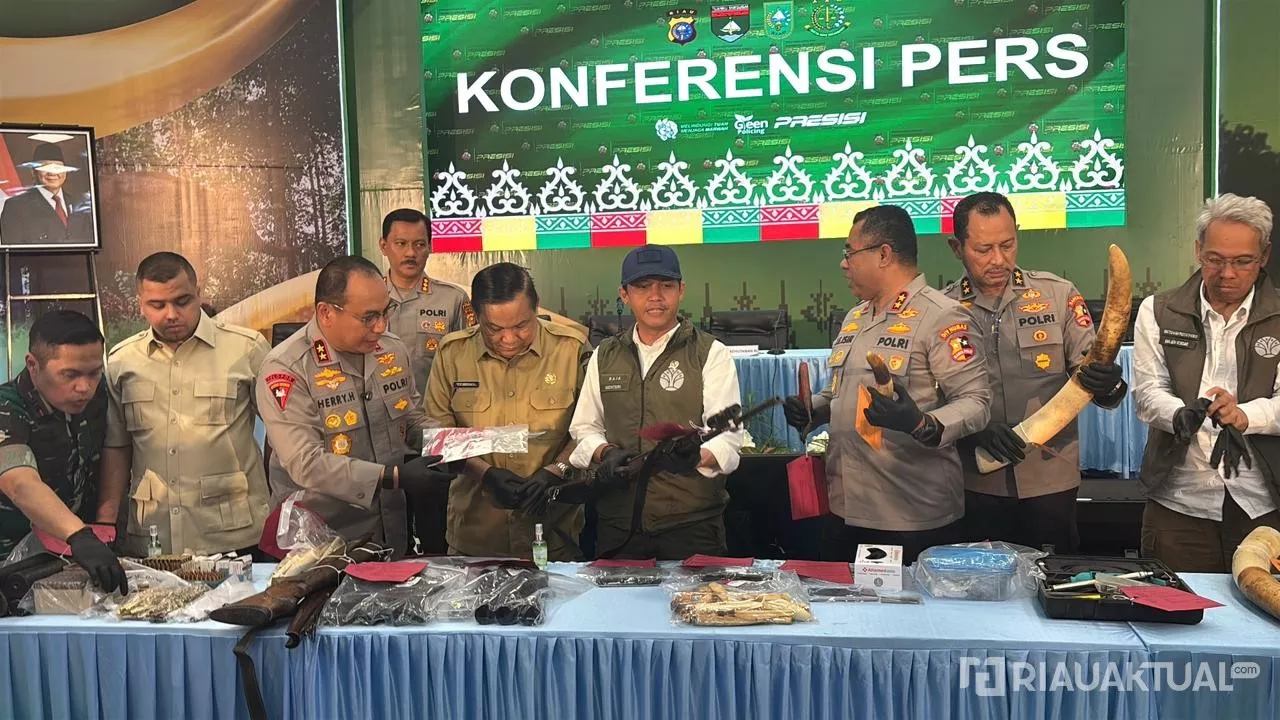 Menhut Sebut Presiden Prabowo Sayang Gajah Sumatera, Pelaku Akan Dihukum Berat