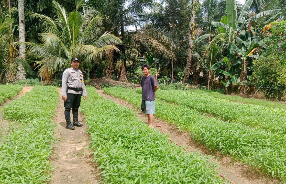 Polisi Turun ke Kebun, Polsek Bangko Pusako Gencarkan Program Ketahanan Pangan