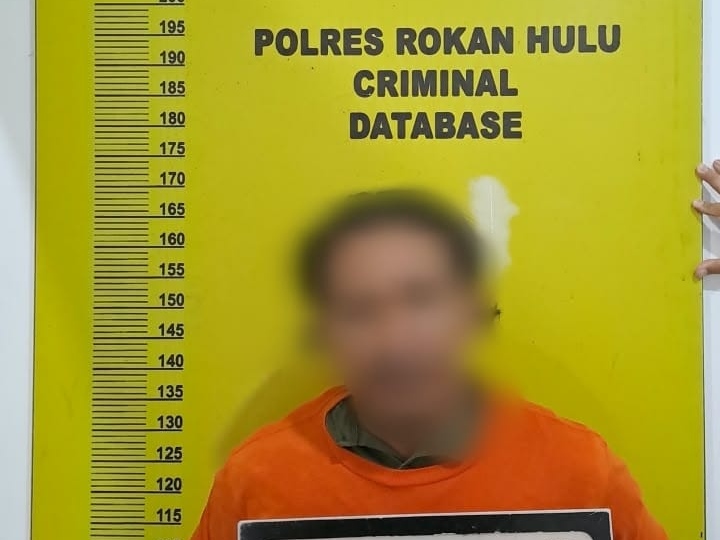 Pembakar 4 Hektare Lahan di Rokan Hulu Diamankan Polisi