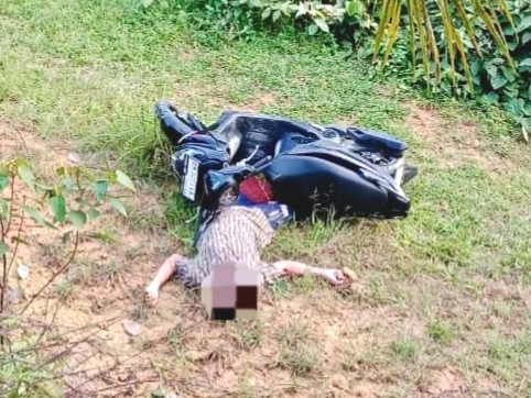 Petani di Kuansing Ditemukan Tewas di Kebun Sawit, Diduga Digigit Ular