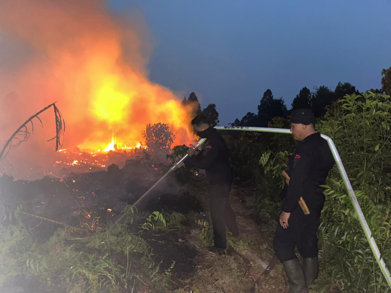 Brimob Riau Perangi Karhutla di Meranti, Pemadaman Berlangsung Hingga Malam