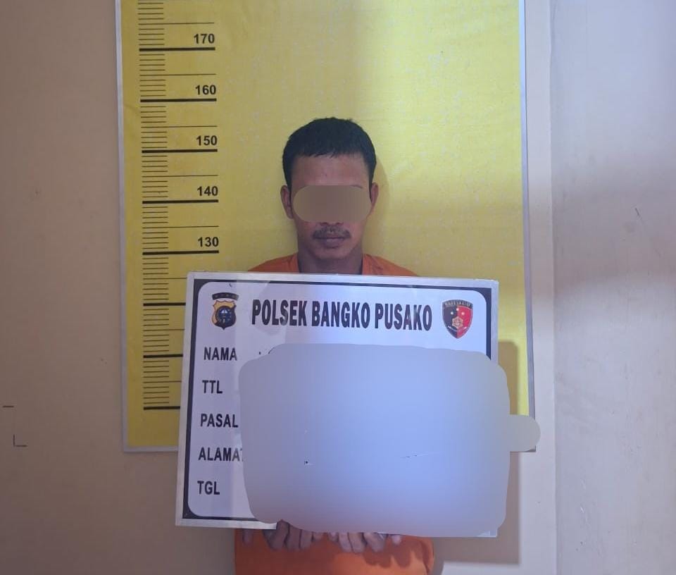 Kabur ke Rumah Mertua, Pelaku Pencurian 27 Tandan Sawit di Rohil Diciduk Polisi