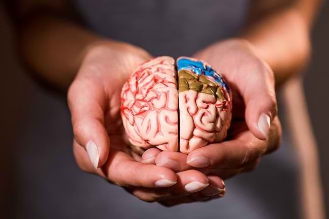 Apa yang Terjadi pada Otak Saat Mengalami Trauma? Ini Kata Sains