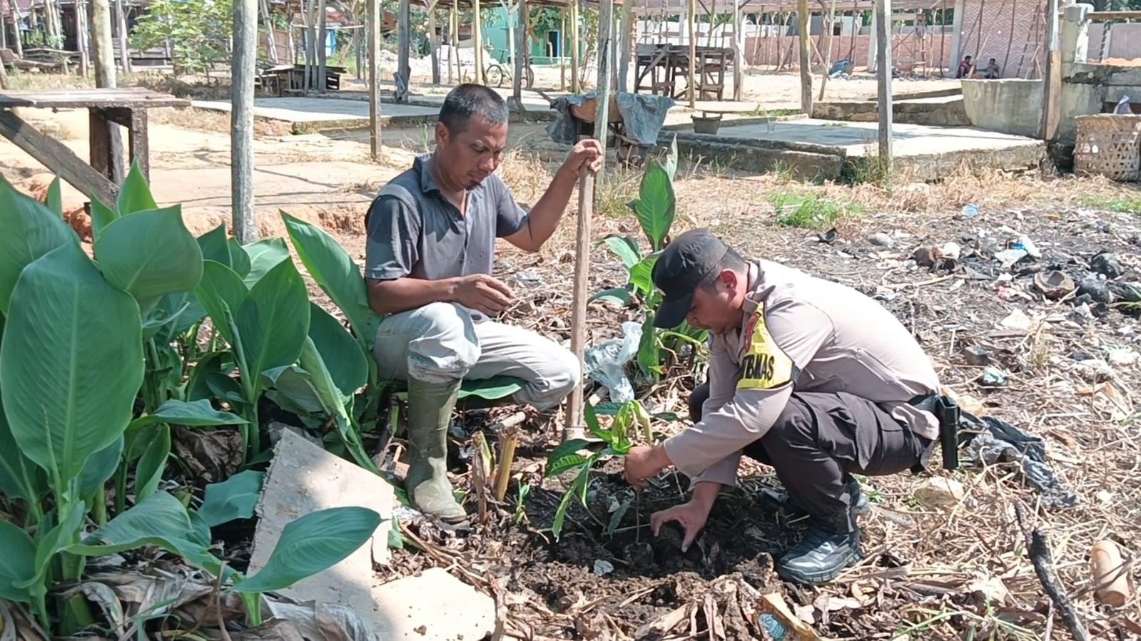 Green Policing, Polsek Rimba Melintang Tanam Pohon di Pasar Selasa