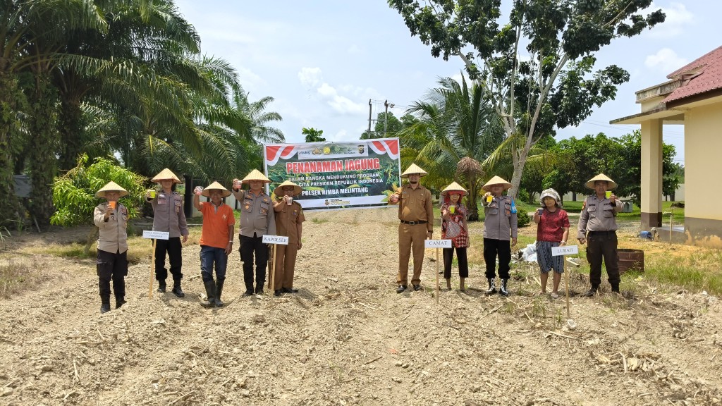 Polsek Rimba Melintang Tanam Jagung 0,5 Hektare Dukung Ketahanan Pangan