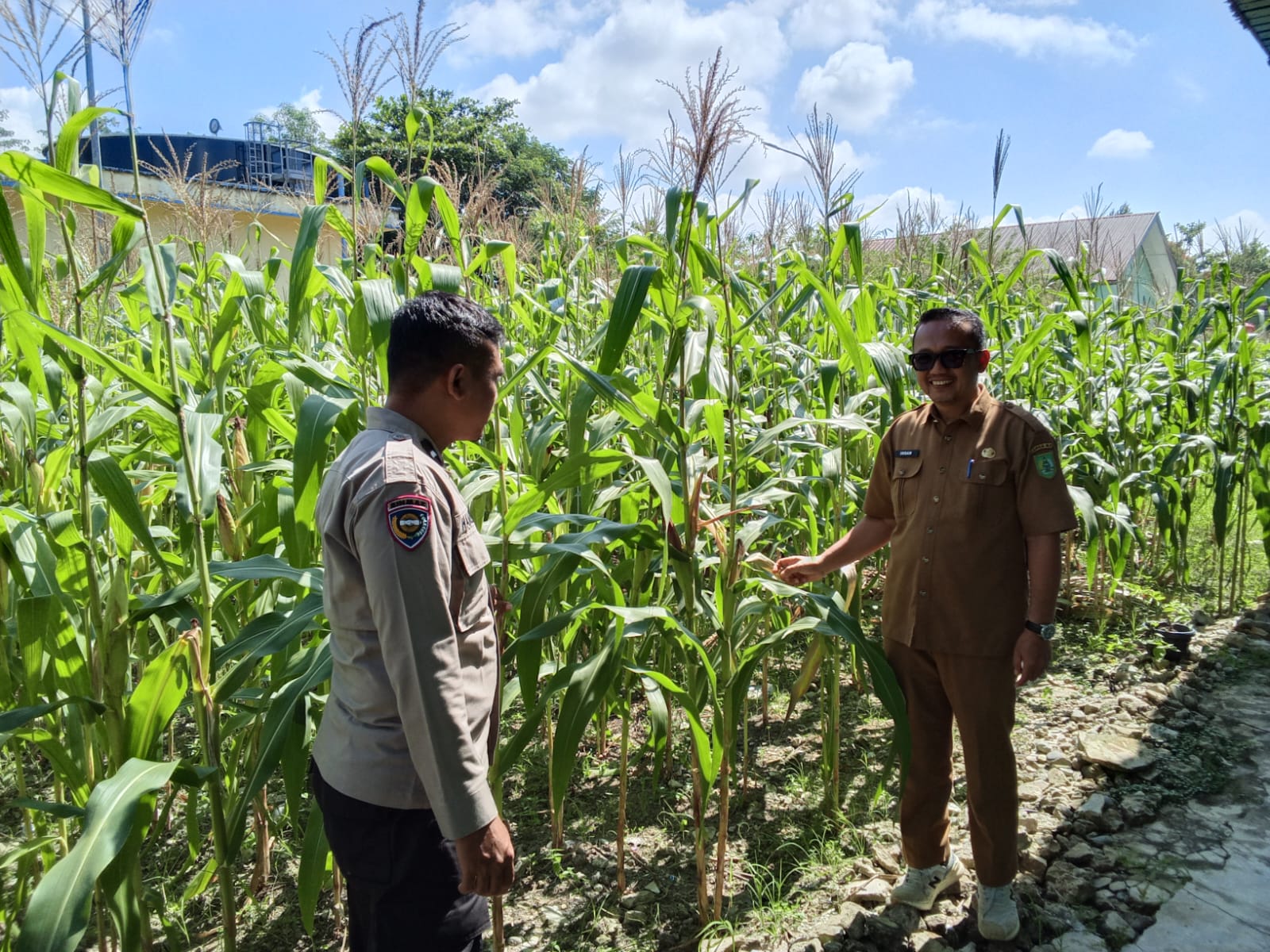 Polisi dan Pj Penghulu Karya Mukti Cek Ketahanan Pangan di Rimba Melintang 
