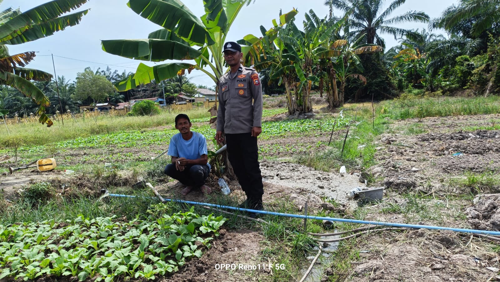 Dukung Asta Cita Presiden, Polisi Sambang Petani Sayur di Bangko Pusako