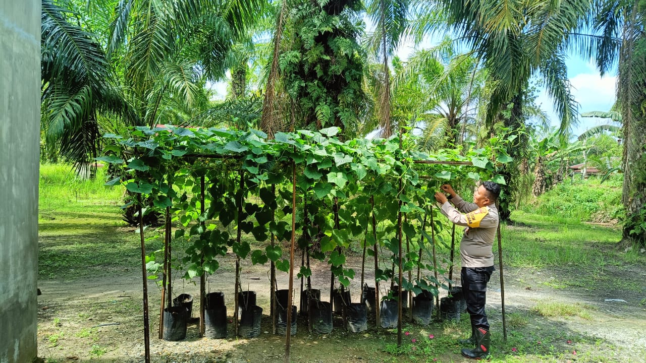 Polisi di Rohil Aktif Dampingi Petani, Wujud Dukungan Program Asta Cita Presiden