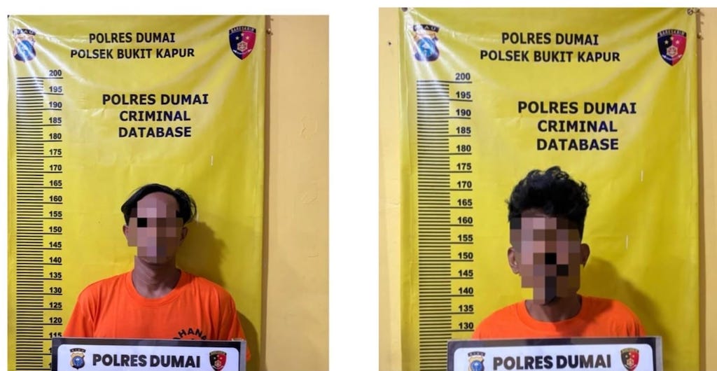 Curi Nmax di Teras Rumah, 2 Residivis Ditangkap Polisi