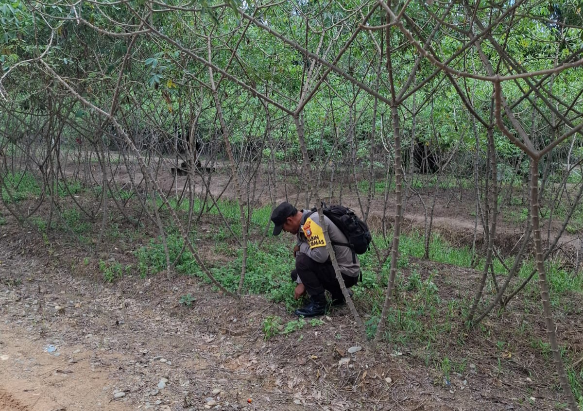 Polsek Bangko Pusako Perkuat Ketahanan Pangan Lewat Program Polisi Cinta Petani