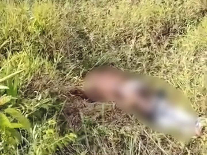 Penemuan Mayat Pria Setengah Bugil di Kuansing Gegerkan Warga