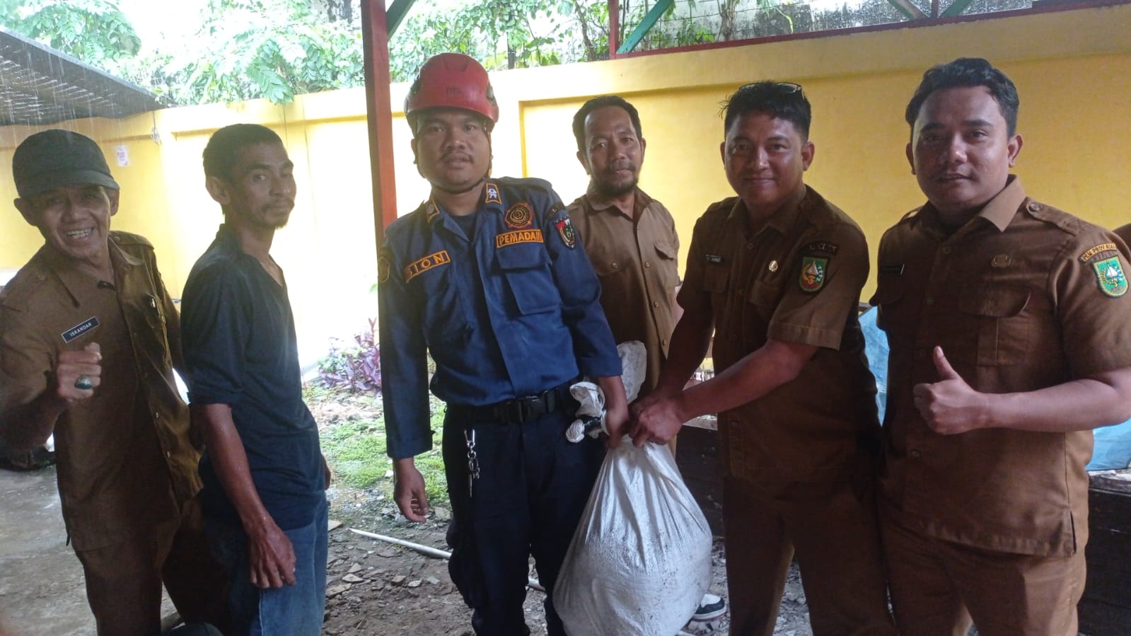 Respon Aduan 112, DPKP Pekanbaru Evakuasi Ular Piton di Kantor Dinas Kebudayaan Riau