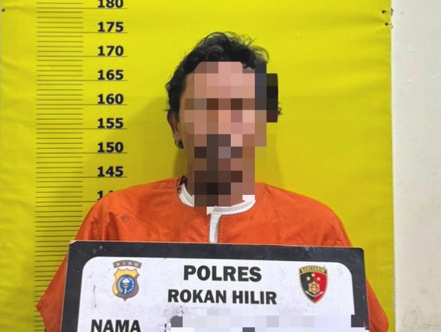 Diduga Bakar Lahan untuk Tanam Sawit, Pria di Rohil Ditangkap Polisi