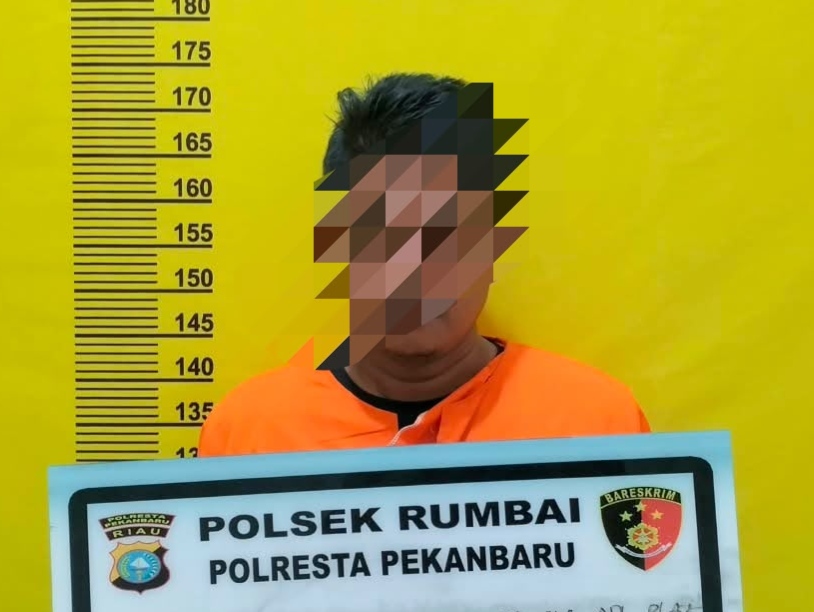 Gelapkan 12 Ekor Sapi Kurban Senilai Rp195 Juta, Diciduk Polsek Rumbai
