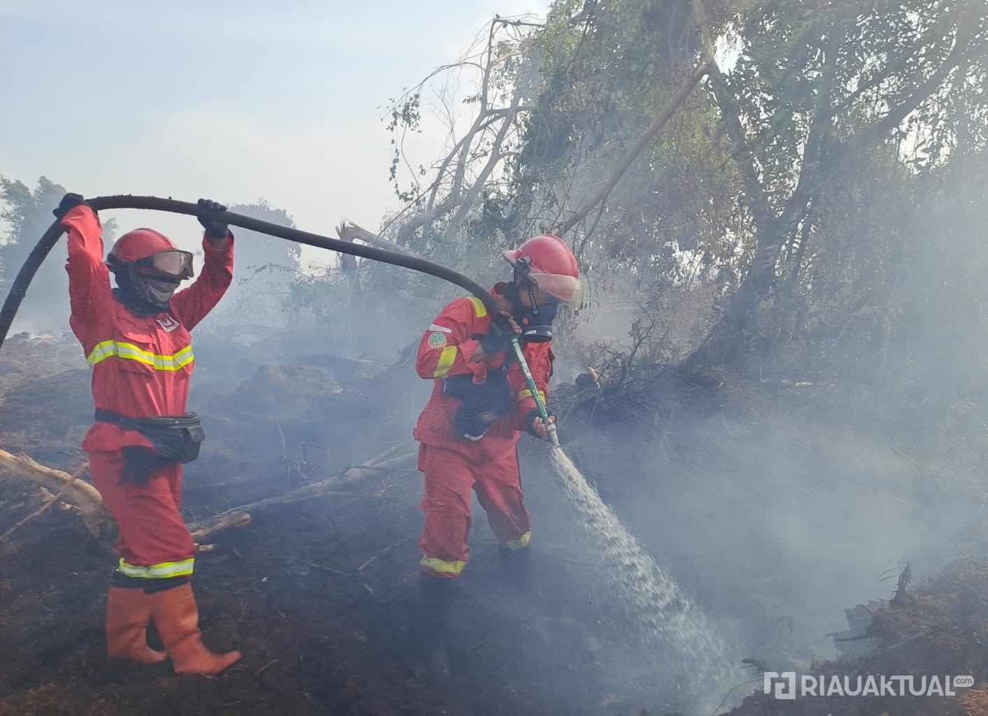  Karhutla di Rohil dan Bengkalis Belum Padam, Luas Lahan Terbakar Capai 14 Hektare