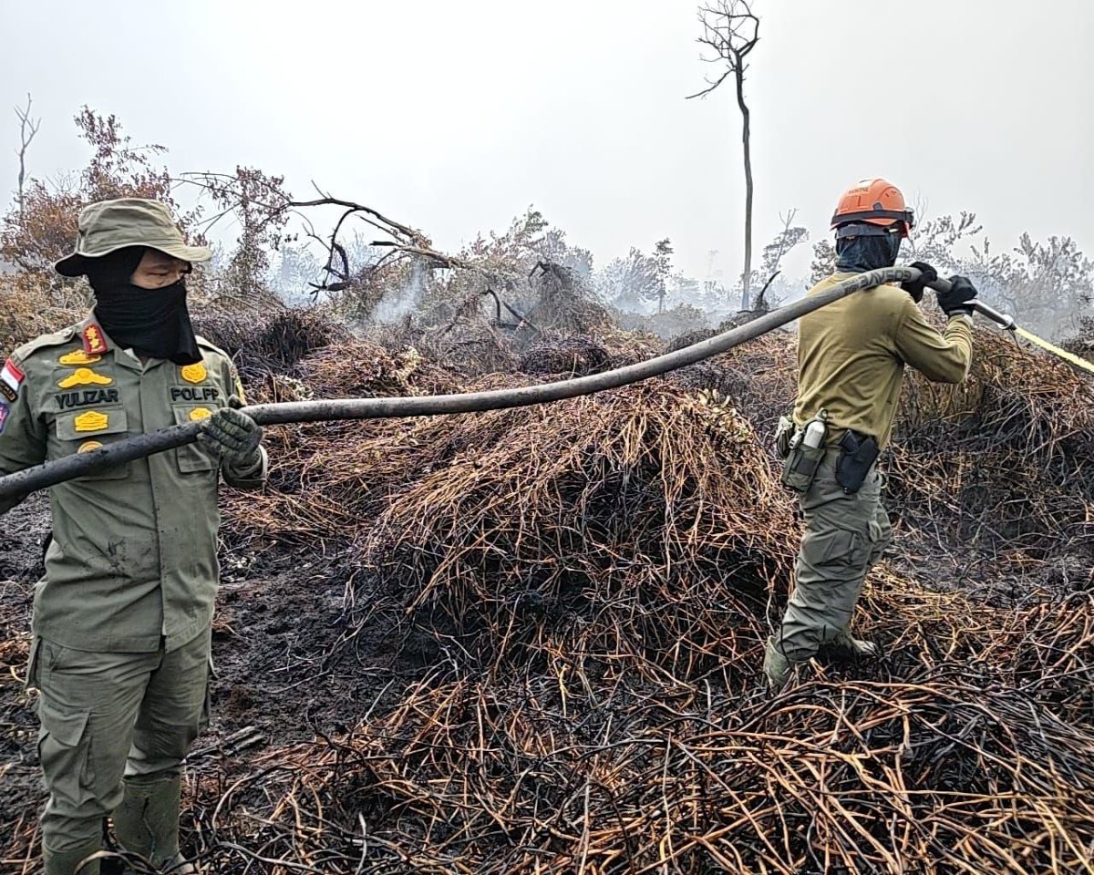 Satpol PP Riau Turun Padamkan Karhutla di Ukui Dua Pelalawan