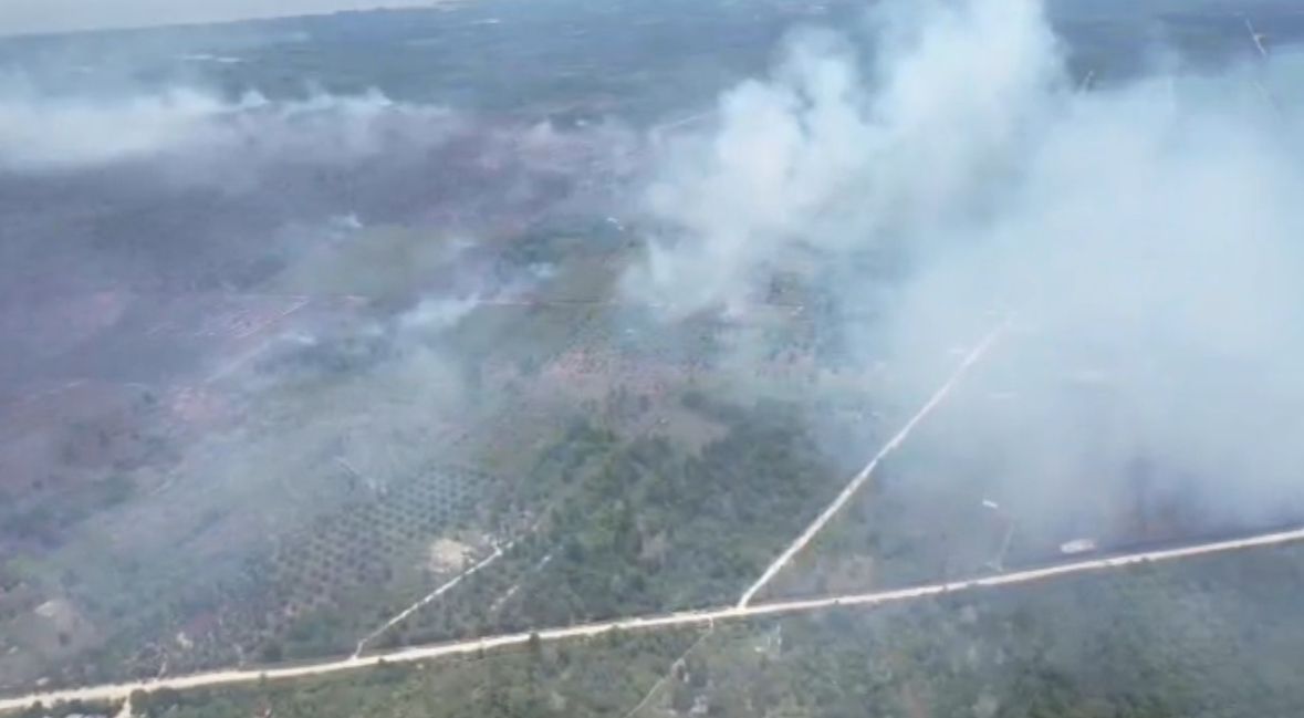 Ngeri, Ratusan Hektar Lahan Terbakar di Dumai, Kabut Asap Mulai Selimuti Kota 