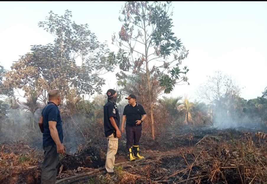 Sudah 93,8 Hektar Lahan di Pekanbaru Terbakar, BPBD Perketat Pengawasan di Wilayah Rawan 