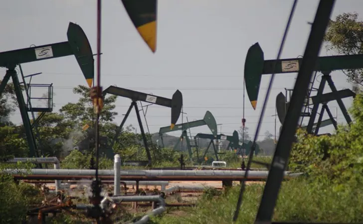 Berlangsung Hingga 27 Maret, BUMD PT Riau Petroleum Buka Seleksi Untuk 2 Jabatan