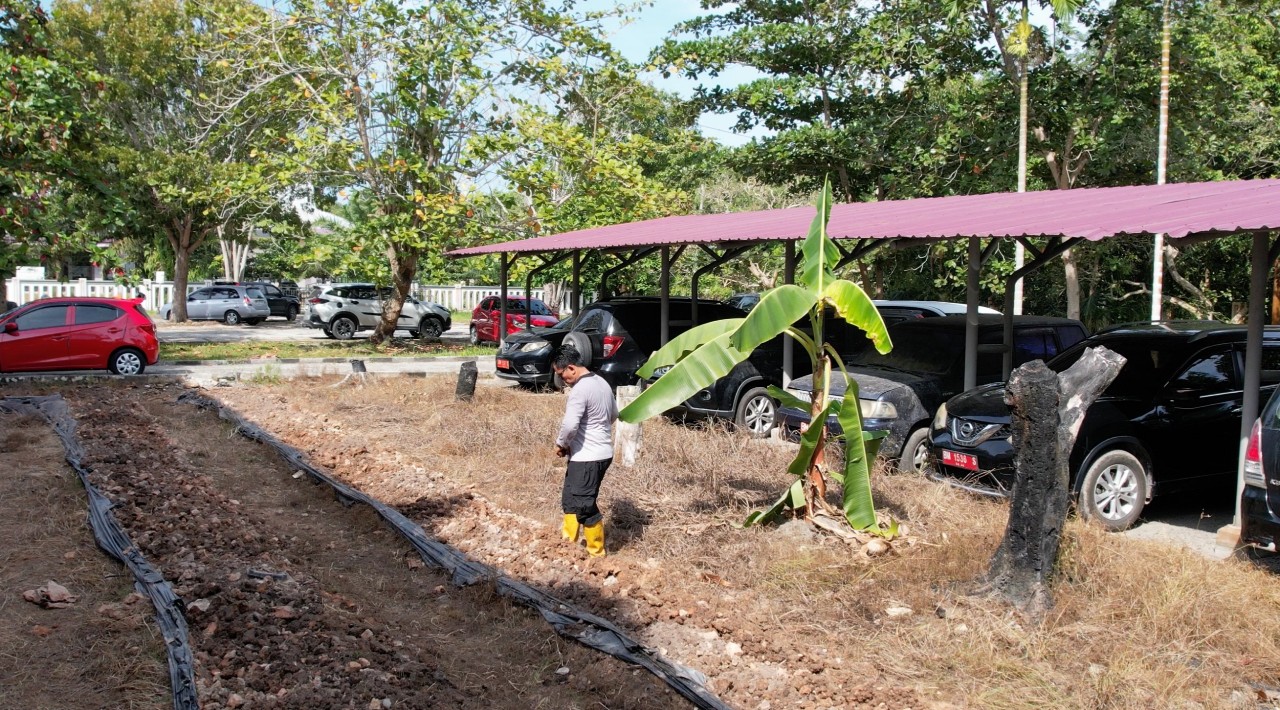 Manfaatkan Lahan Kosong, Kadisos PPPA Siak Bersama Staf Tanam Sayur Mayur