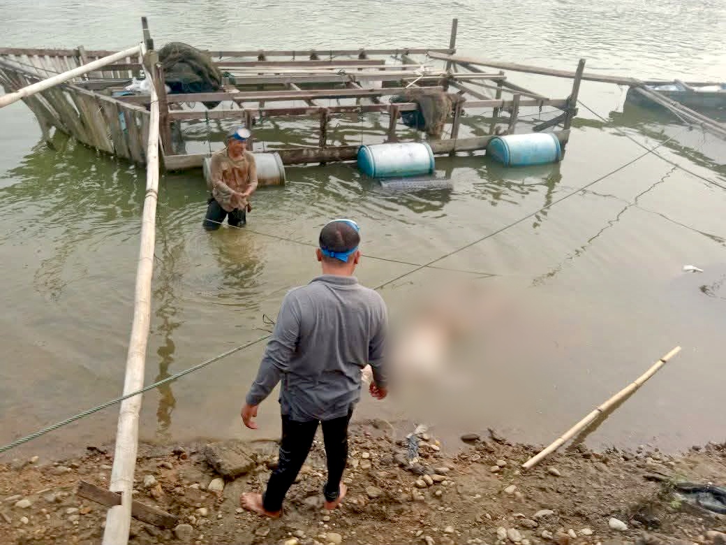Mayat Pria Ditemukan Membusuk di Keramba Ikan Pulau Belimbing Kampar