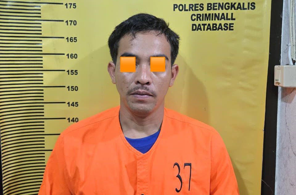 Diduga Nyambi Jadi Pengedar Sabu, Security Perpustakaan Bengkalis Diciduk Polisi