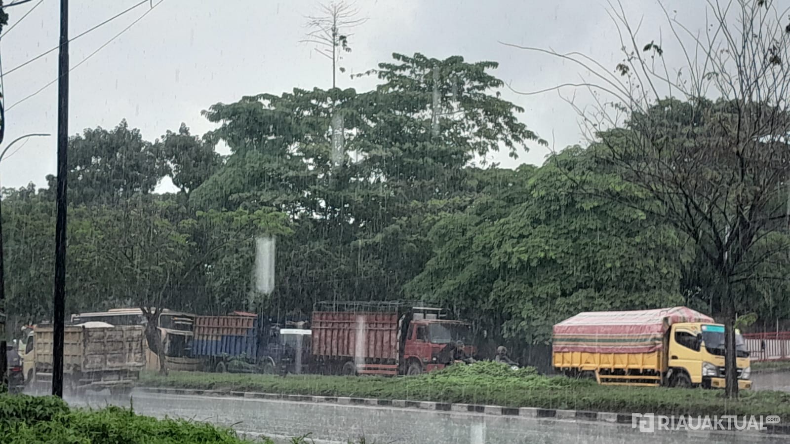 Hujan Berpotensi Guyur Sejumlah Wilayah di Riau, Waspada Petir dan Angin Kencang 
