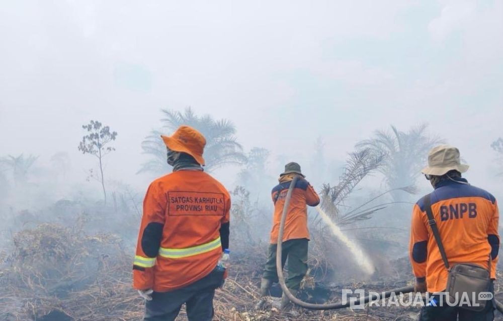 31 Titik Panas Terdeteksi di Riau, Bengkalis dan Pelalawan Terbanyak