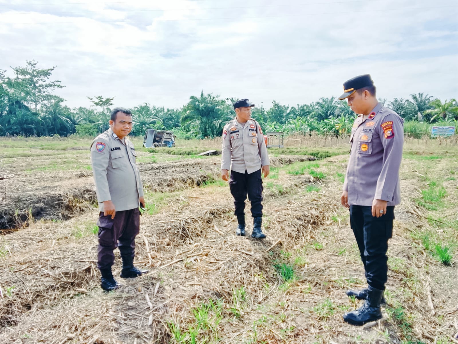 Ketahanan Pangan, Kapolsek Ipda Rian Rahmadi Cek Lahan untuk Jagung di Rimba Melintang Rohil