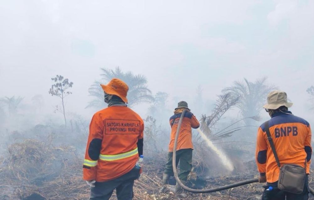 Hotspot di Riau Capai 46 Titik, Terbanyak di Pelalawan dan Bengkalis 
