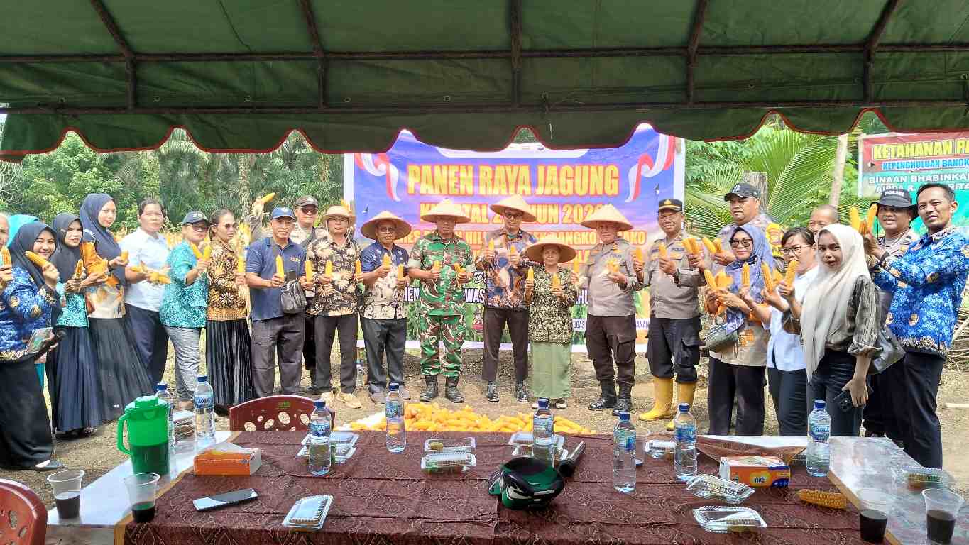 Polsek Bangko Pusako Panen 4 Ton Jagung, Sukseskan Swasembada Pangan 