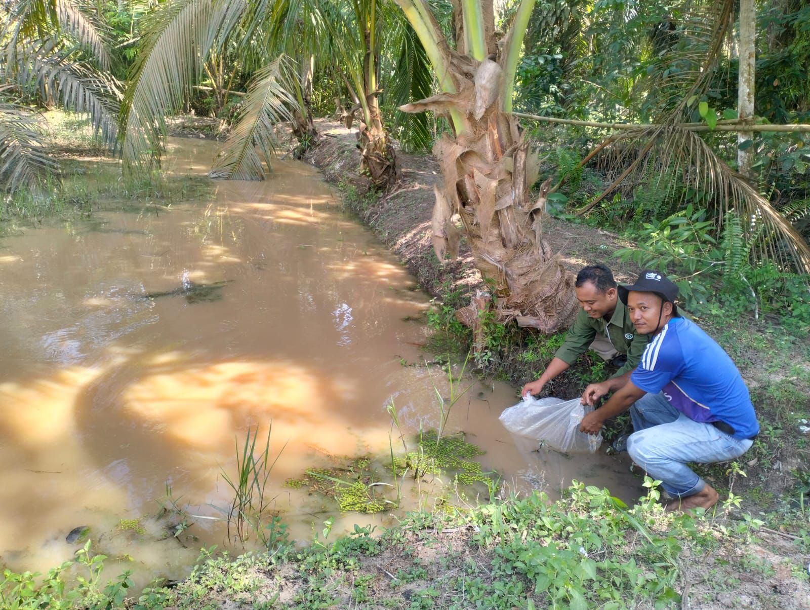 CSR PT SLS Dorong Ekonomi Desa di Pelalawan Riau