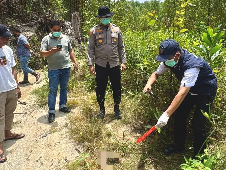 Heboh! Kerangka Manusia Ditemukan di Areal PT RAPP Kuansing