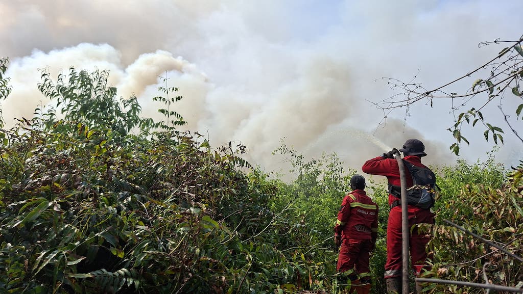Karhutla Merambah Suaka Margasatwa Kerumutan Pelalawan