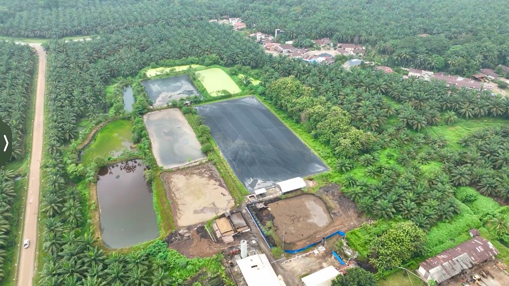 Harga Energi Global Bergejolak, PalmCo Andalkan Limbah Sawit Jadi Listrik