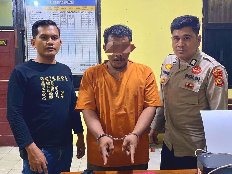 Polsek Tapung Ringkus Pengedar Sabu di Perkebunan Sawit
