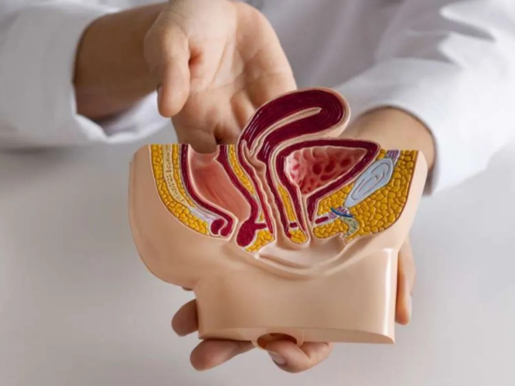 KB Vasektomi Viral di Medsos, Benarkah Bikin Pria 'Loyo'? Ini Kata Pakar