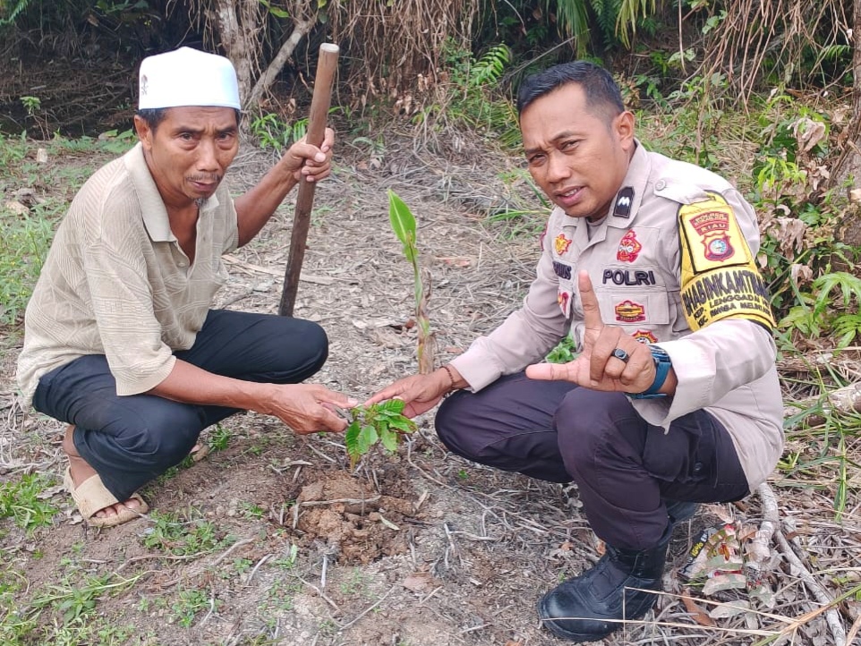 Polisi Tanam Pohon di Rohil, Ini Cara Polsek Rimba Melintang Wujudkan Green Policing