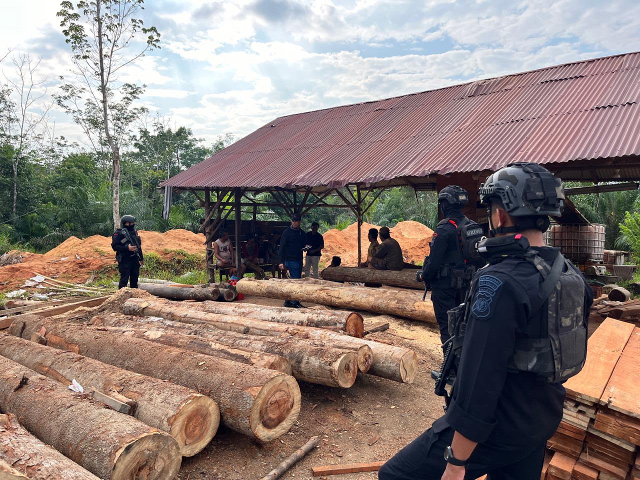 DPO 2 Tahun, Perempuan Diduga Pemodal Kayu Ilegal di Kampar Ditangkap Polda Riau