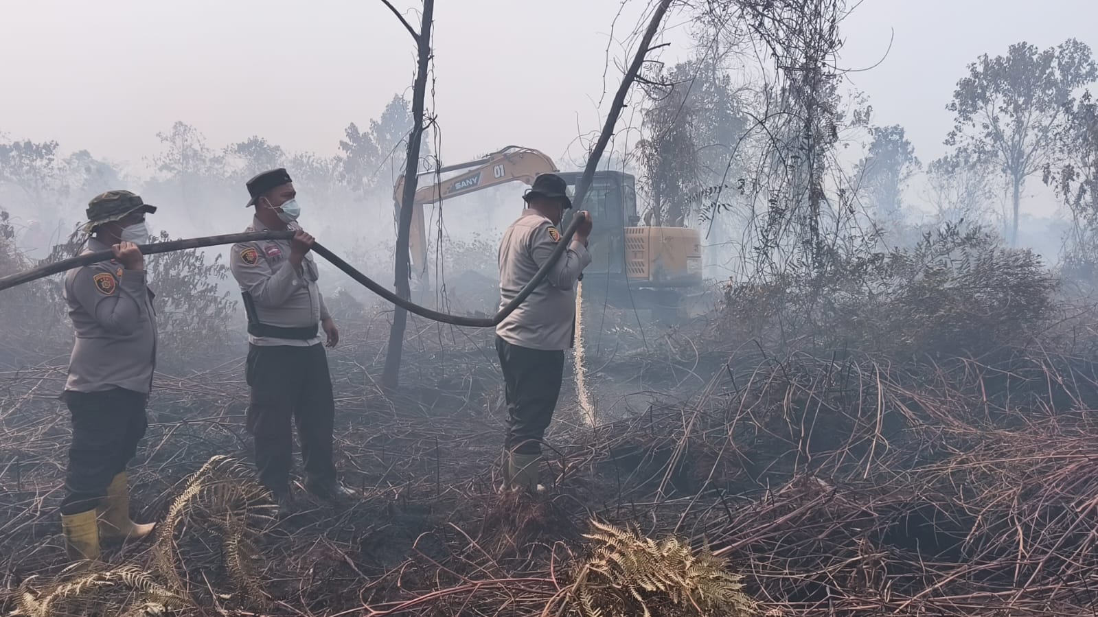 265 Hotspot Terdeteksi di Riau, 120 Titik di Pelalawan 